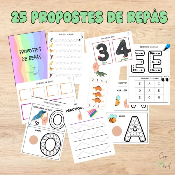 25 propostes de repàs