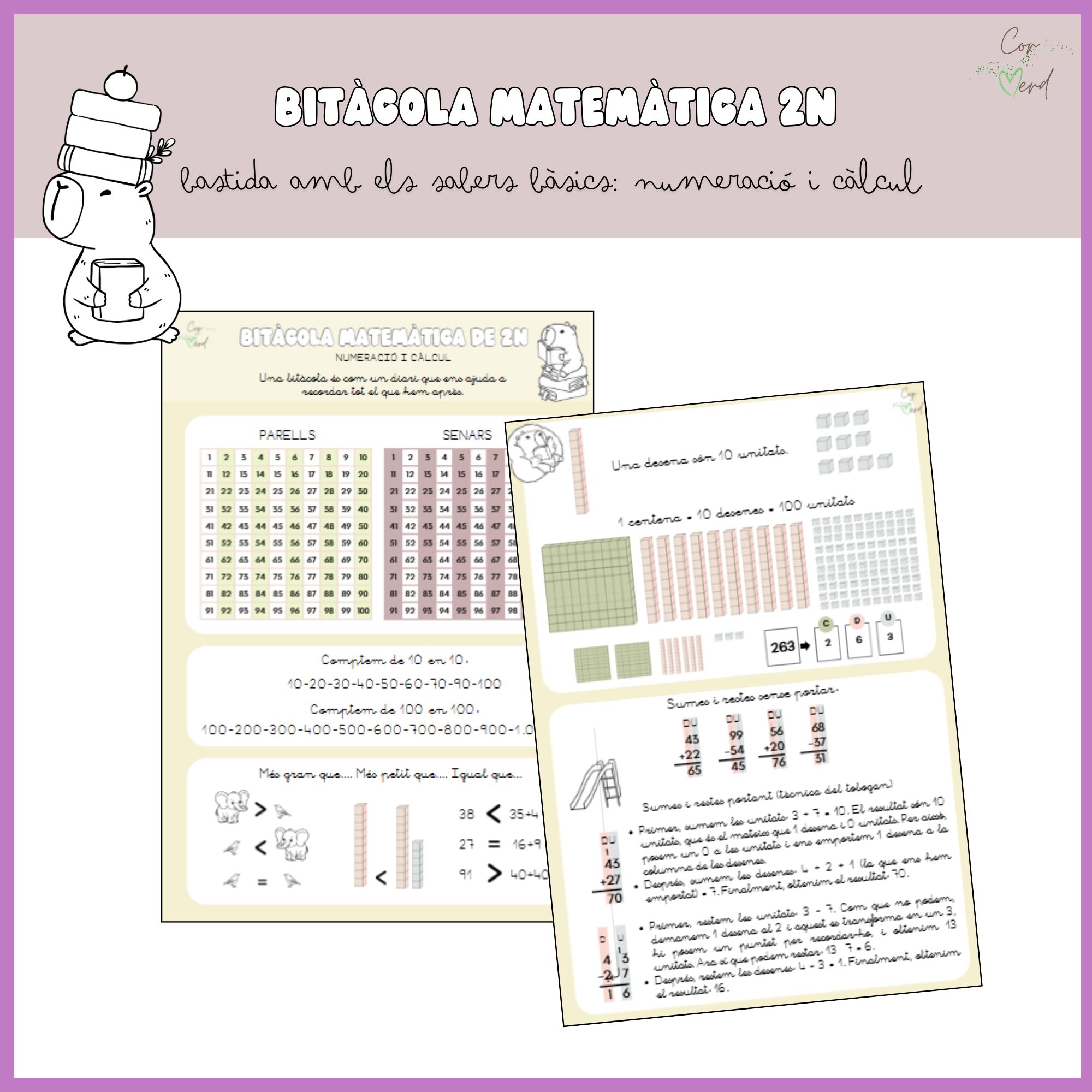 Bitàcola matemàtica de 2n